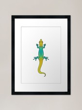 Cameroon Dwarf Gecko -