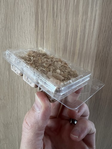 Natural firelighters pack - natural,