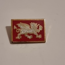 Anglo-Saxon White Dragon of