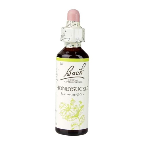 Bach flower remedies - bach,