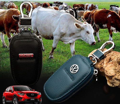 Car key case suitable for