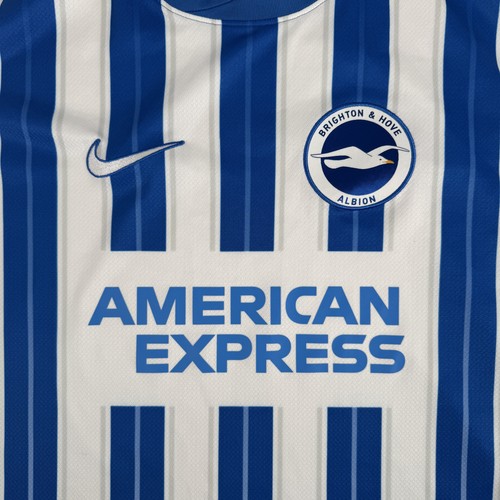 Brighton hove albion - brighton, &