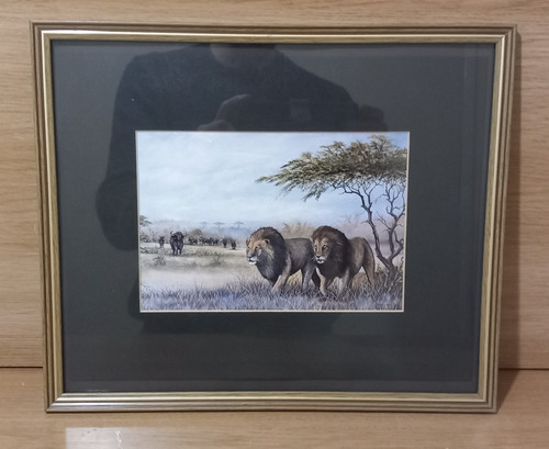 David cubbin african wildlife - african,