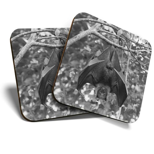 Coasters lyle s - x,