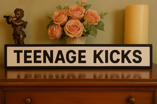 Teenage kicks indoor the - indoor,
