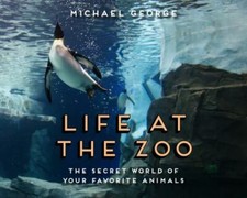 Life at the Zoo - Hardcover By
