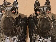 Black Scottie Dog Egg Cups X 2. Immaculate Condition.  Glazed Whole Dog & Tail.