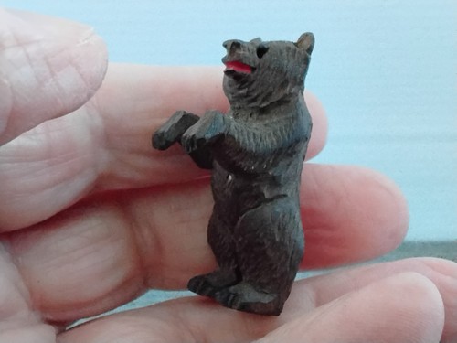 Minature black forest bear - forest,