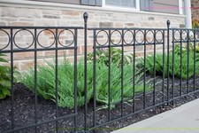 Primrose 91cm Park Lane Fence