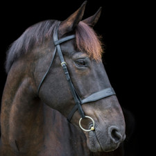 Ecorider Classic Show Bridle -