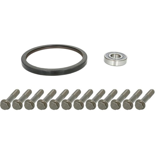 Flywheel screw set fits - 1x,