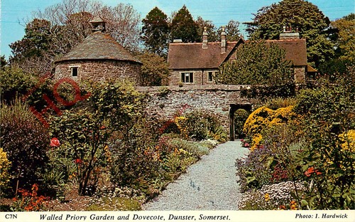 Picture postcard dunster - postcard;,