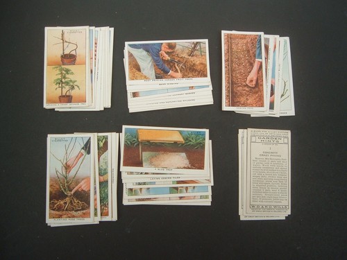 Wills garden hints - wills,