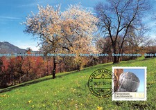 D110598 Liechtenstein. 2004. MK 235. Fossilien aus Liechtenstein. Seeigel. Talli