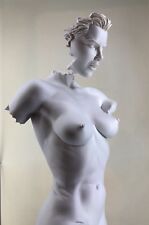 Erotic Female fantasy Torso
