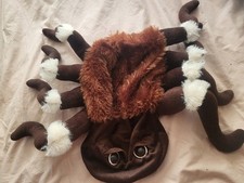 Dog Plush Spider Costume