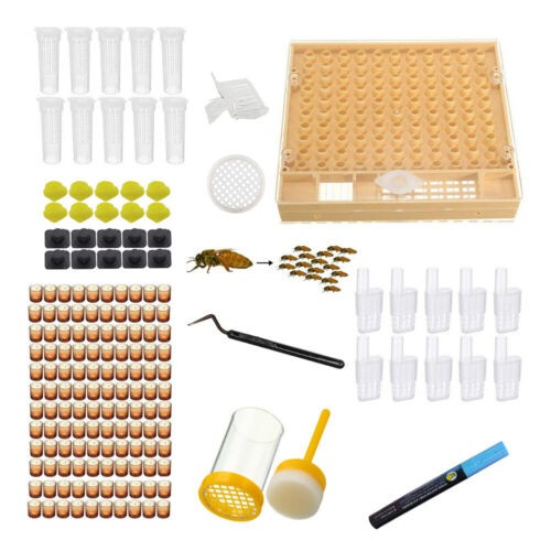 Complete bee queen rearing - bee,
