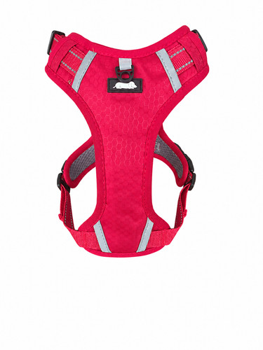 Miniature dachshund harness - miniature,