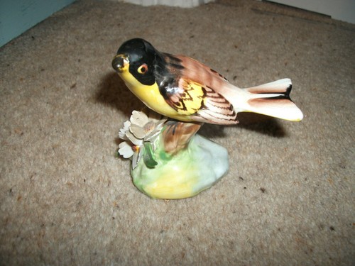 Raybur staffordshire bone - -,