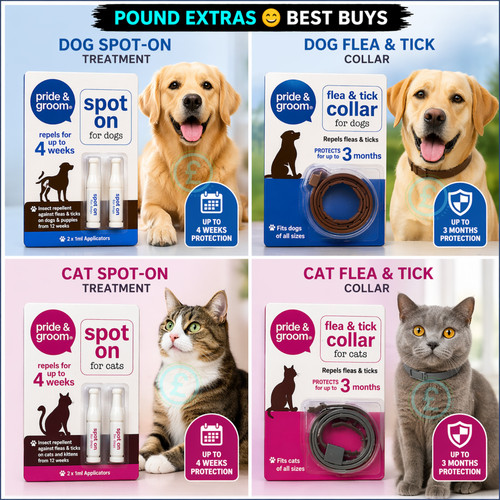 Flea tick spot on - tick,