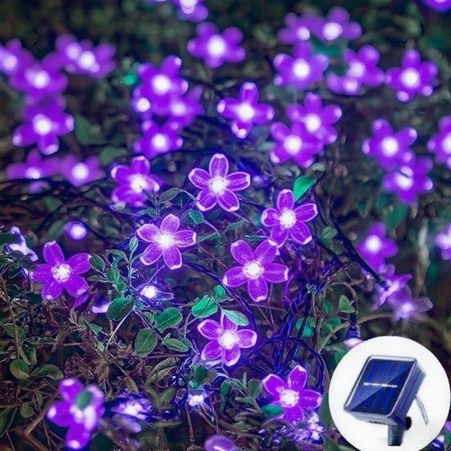 Solar cherry garden blossom - solar,