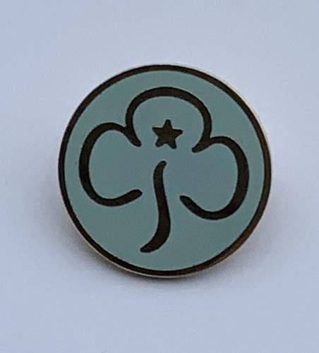 Vintage girl guides promise - girl,