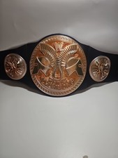 2010 Mattel WWE Tag Team