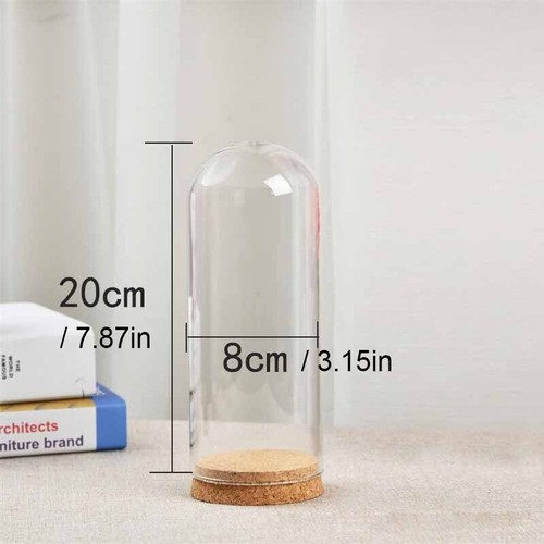 Everlasting flower glass - everlasting,