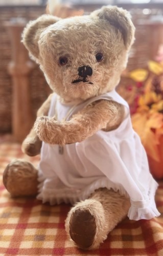 Old vintage teddy bear - old,