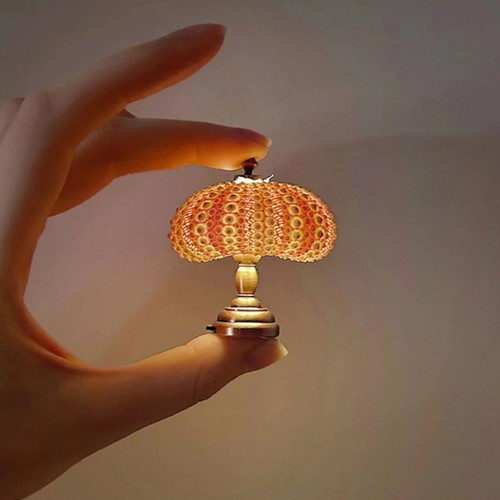 Mini sea urchin - mini,