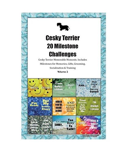 Cesky terrier milestone - cesky,