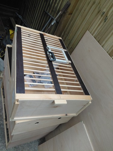 Pigeon racing training baskets - pigeon,
