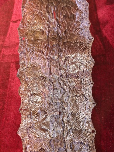 Large antique python snake - antique,