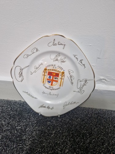 Rare stoke city football club - rare,