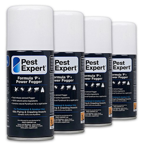 Pest expert spider - expert,