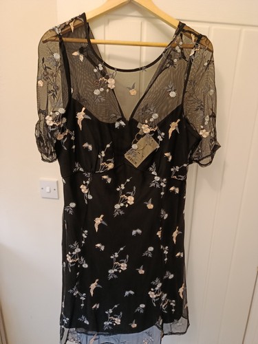 Monsoon black lillie - monsoon, floral