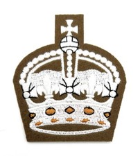 Badge Kings CIIIR Crown Future