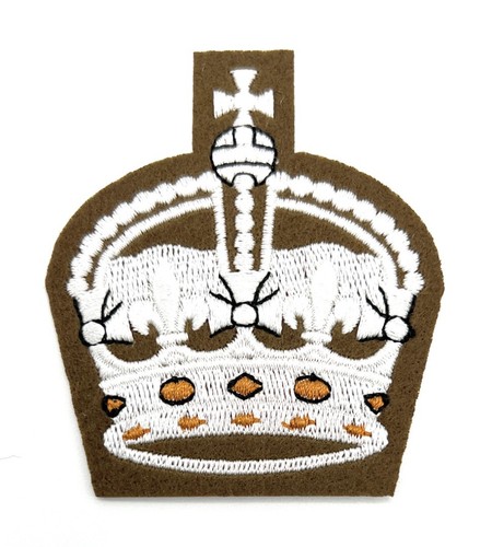 Badge kings ciiir crown future - kings,
