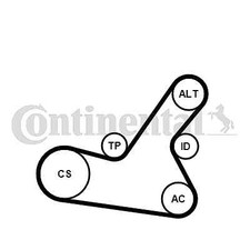 CONTINENTAL CTAM 6PK1564K2