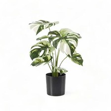 Blooming Artificial - Faux