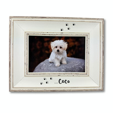 Dog Cat Photo Frame |
