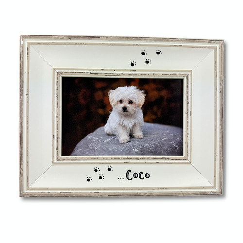 Dog cat photo - photo, |