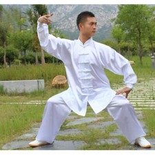 Chinese Tai Chi Performance