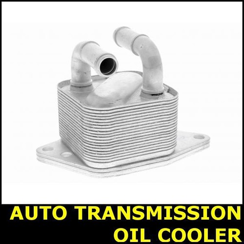 Auto transmission oil - auto, cooler