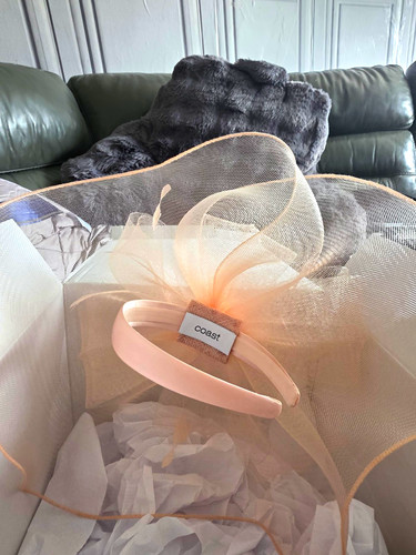 Coast beige mesh - mesh, bow