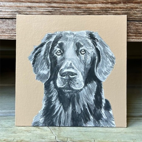 5x5 flat coated retriever dog - 5x5,