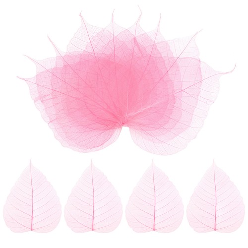 100 pack skeleton - skeleton, leaves