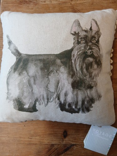 Scottie dog highland - scottie, dog,