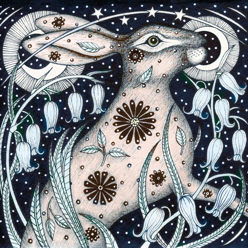 Harebells hare fine art - harebells,