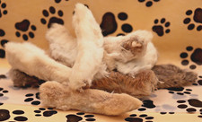 100% Natural Rabbit Feet with Fur - natural De-wormer, Digestive Aid Dogs Treats